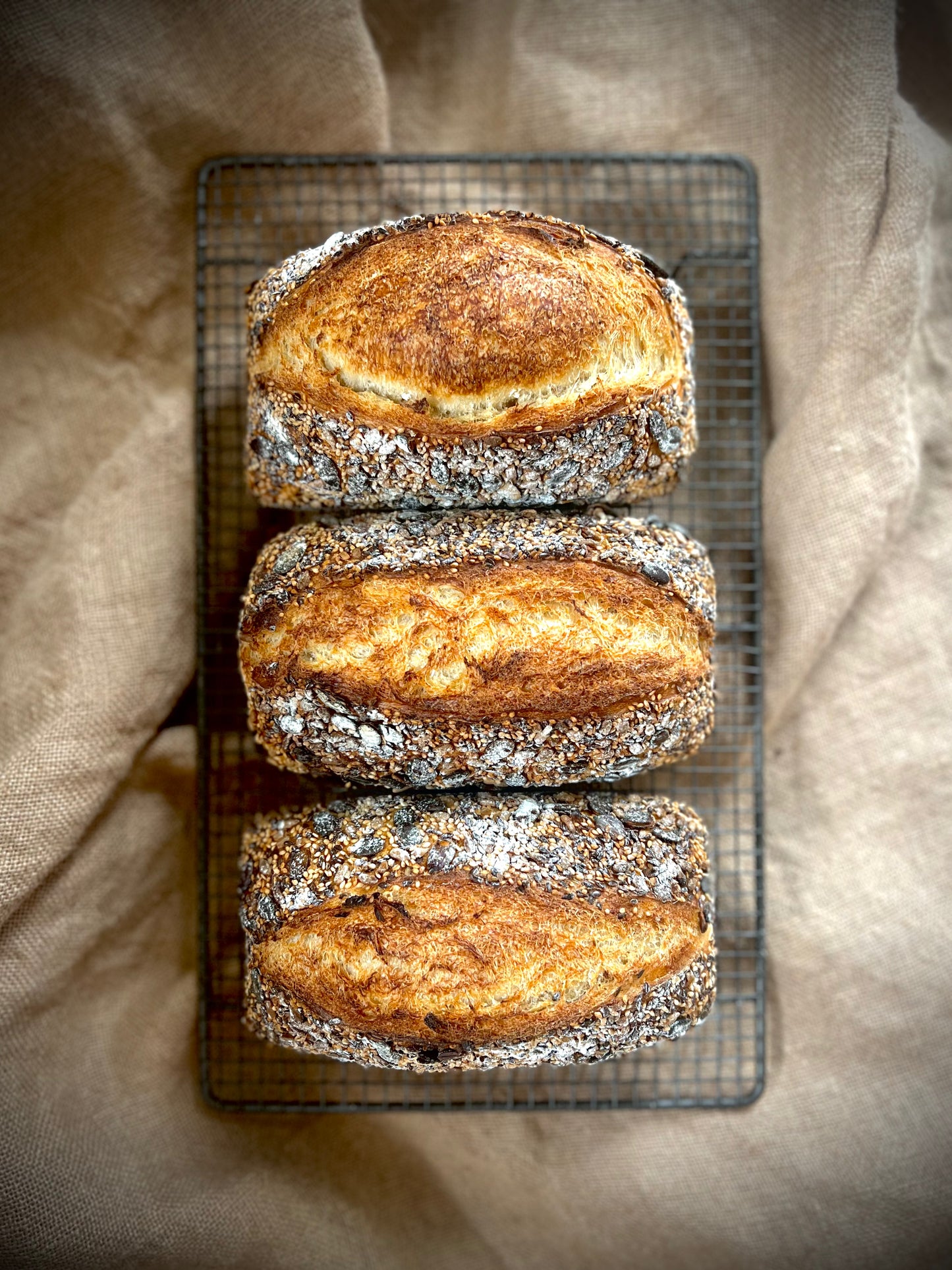 Ancient Seeded Grain Sourdough Tin loaf